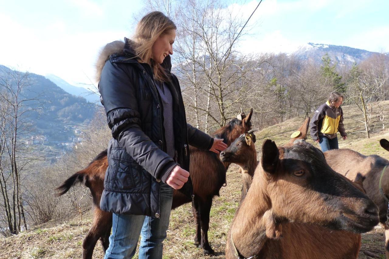 Agriturismo La Meta Pieve di Bono Экстерьер фото
